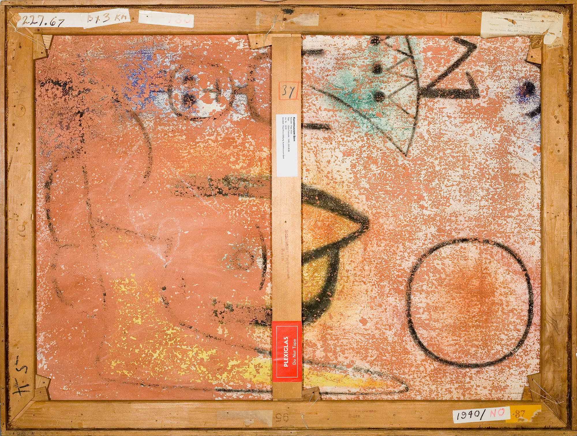 Kosmos-Klee-Fokus-Rückseiten