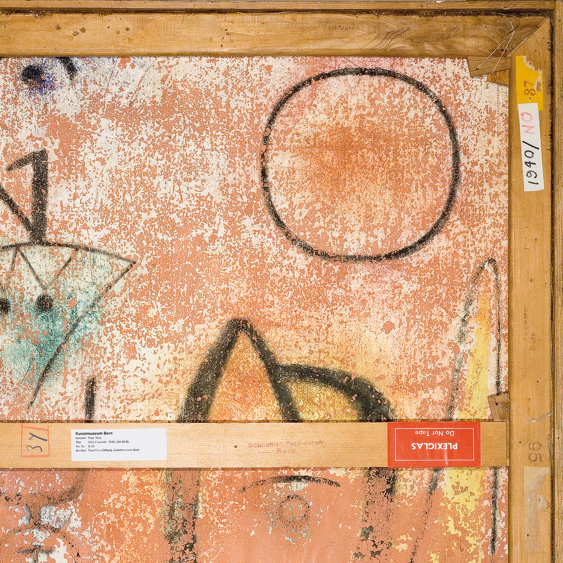 Kosmos-Klee-Fokus-Rückseiten