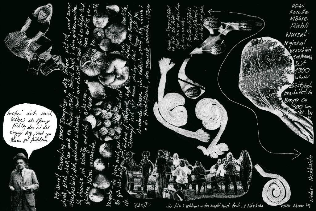 schwarz-weiss Collage mit Elementen aus Klee-Werken, Fotos aus dem Gemeinschaftsgarten und Zitaten Klees und unserer Gärtnerinnen aus dem Magazin "alles wächst"