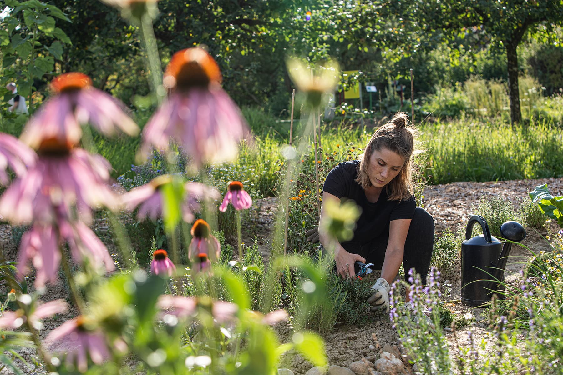Gemeinschaftsgarten Paul&ich Svenja