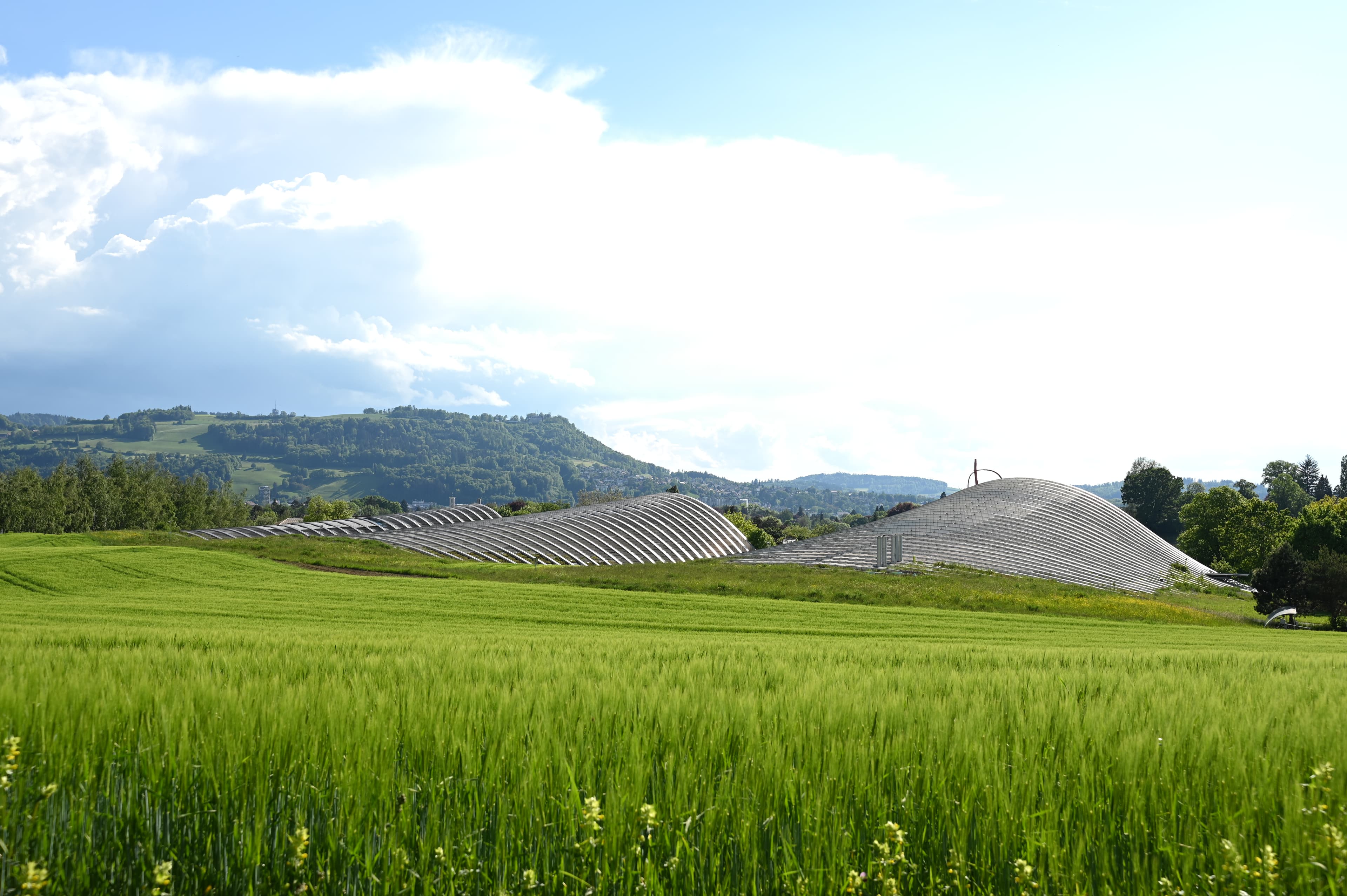 03_ZPK_20 Jahre_Jubiläumswochenende.jpg