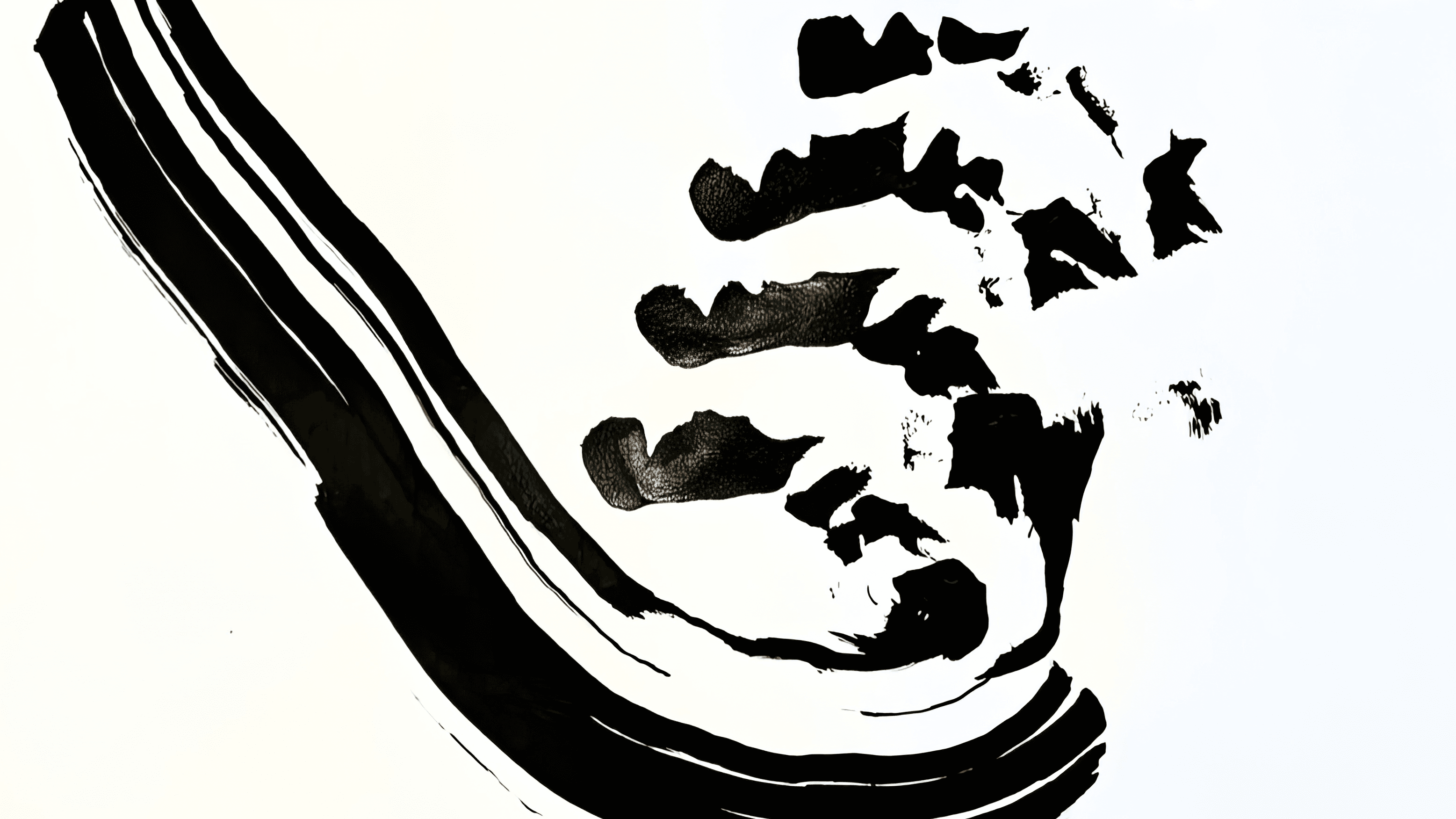 Ein Kunstwerk aus einer geschwungenen schwarzen Linie auf weissem Malgrund