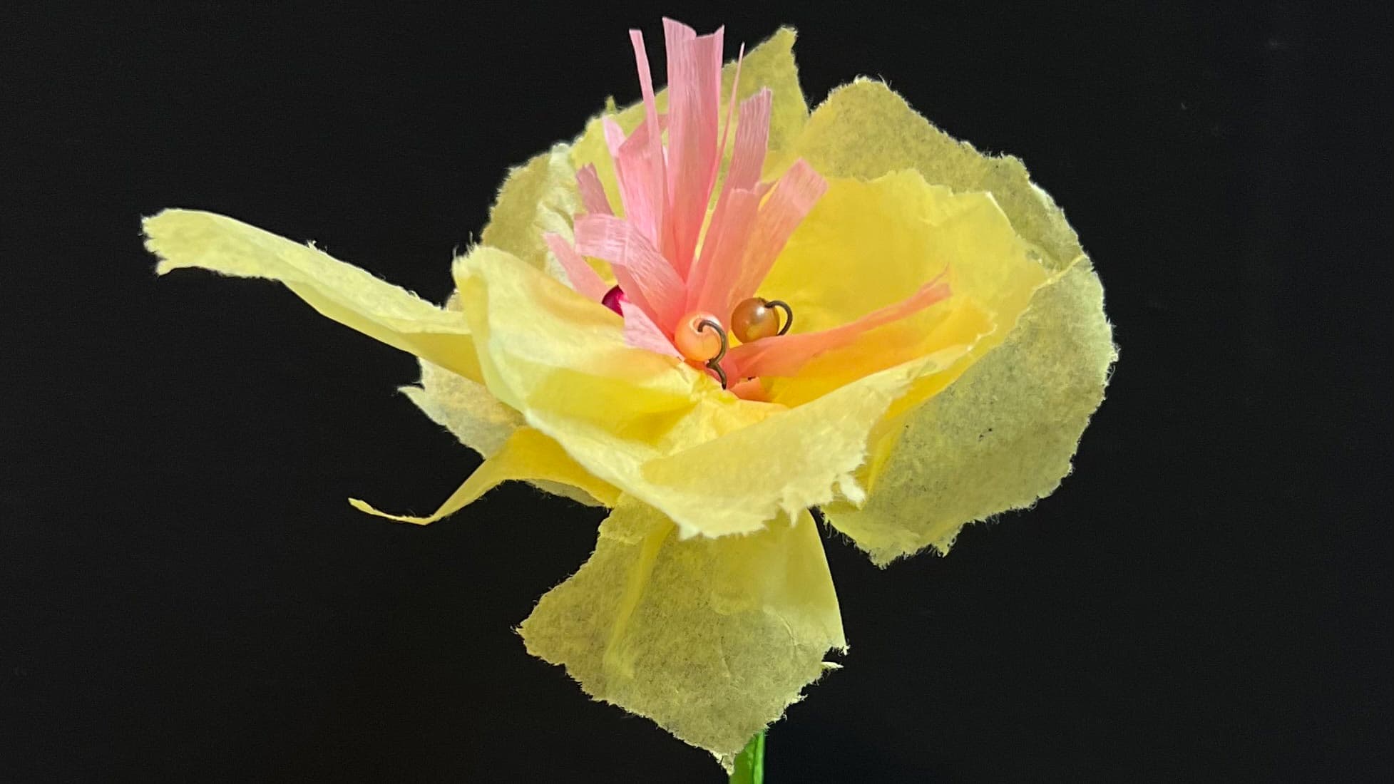 Eine gelbe Papierblume vor eine schwarzen Hintergrund