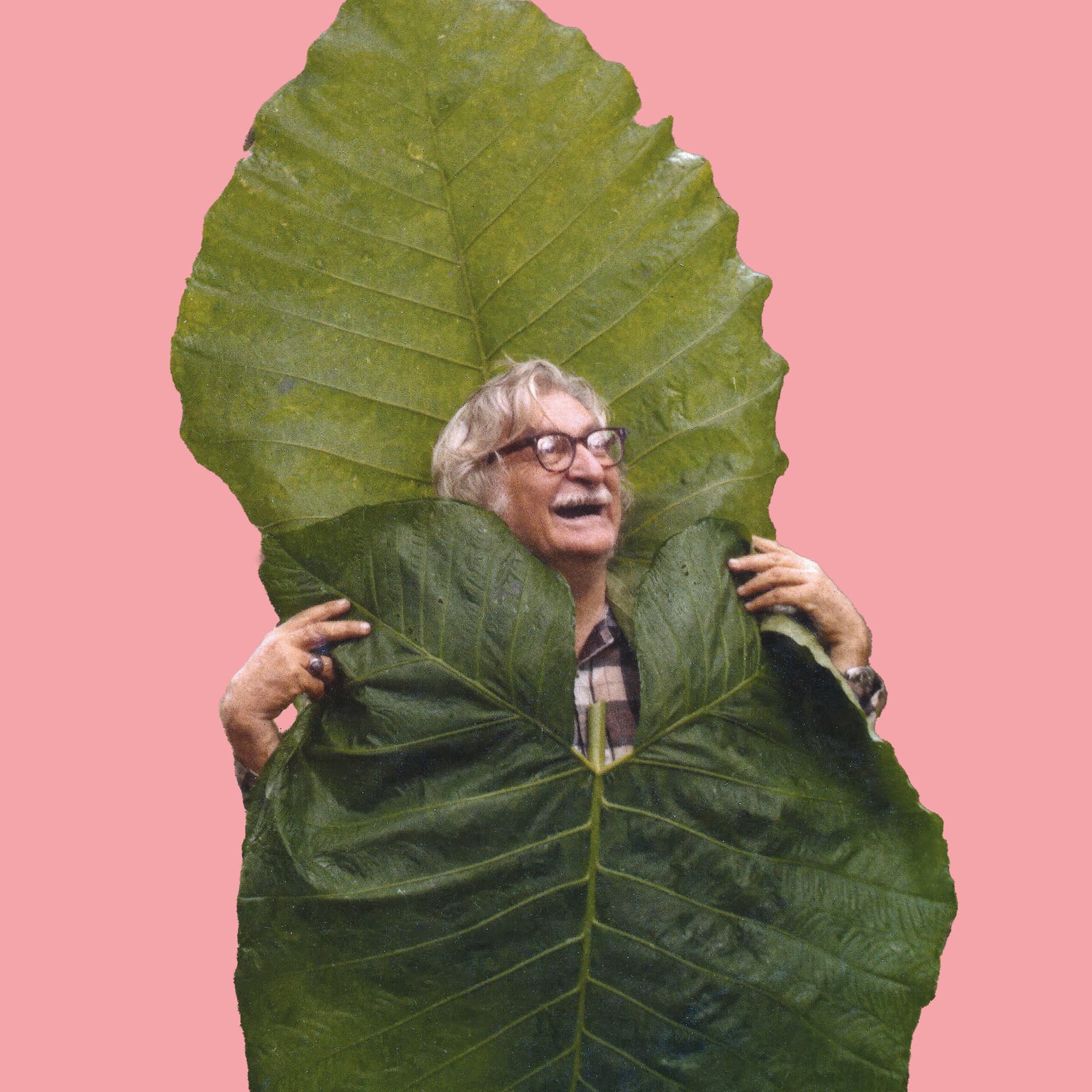 Roberto Burle Marx.