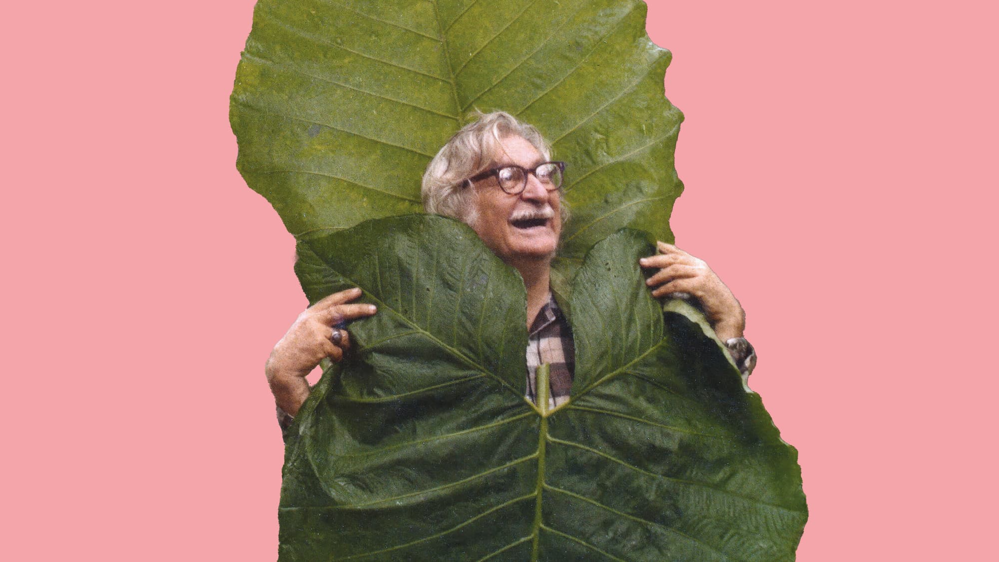 Roberto Burle Marx 1974
